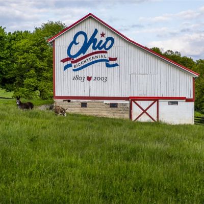 42618e5e-3f1b-4af2-ad36-c03132eccad9